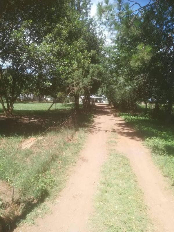 0 Bedroom Property for Sale in Roodia Free State
